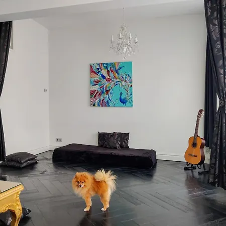 Dina-Perla Lodges, Shared Home - Not Hotel - In Museum District * Άμστερνταμ